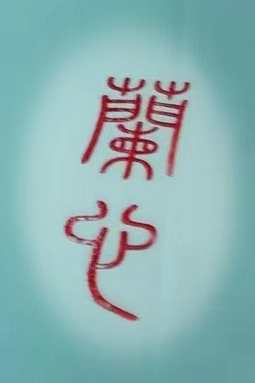 产品17 Product 17